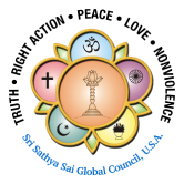 SSSBalvikas USA